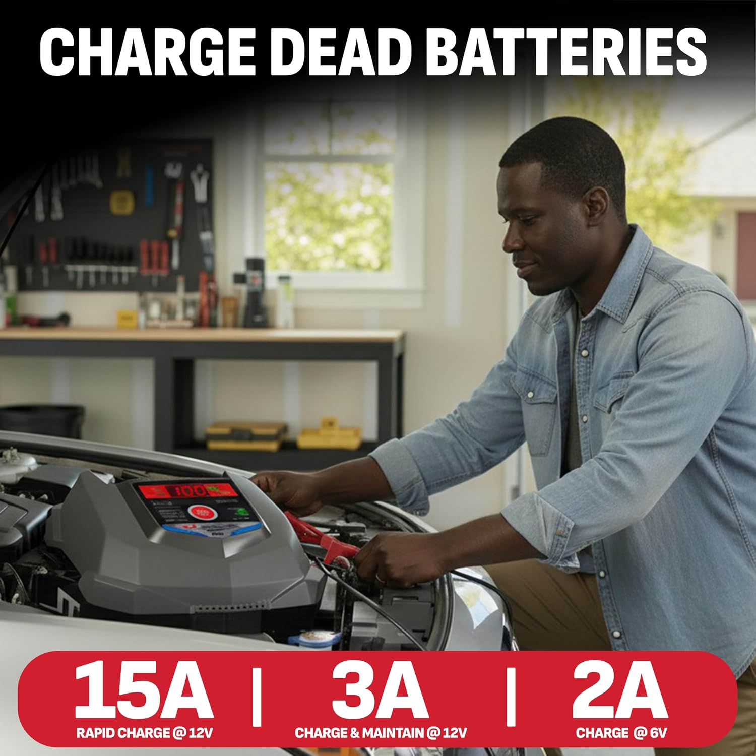 Car Battery Charger 12V/6V wit - Agm Deep Cycle Battery reseña y precio