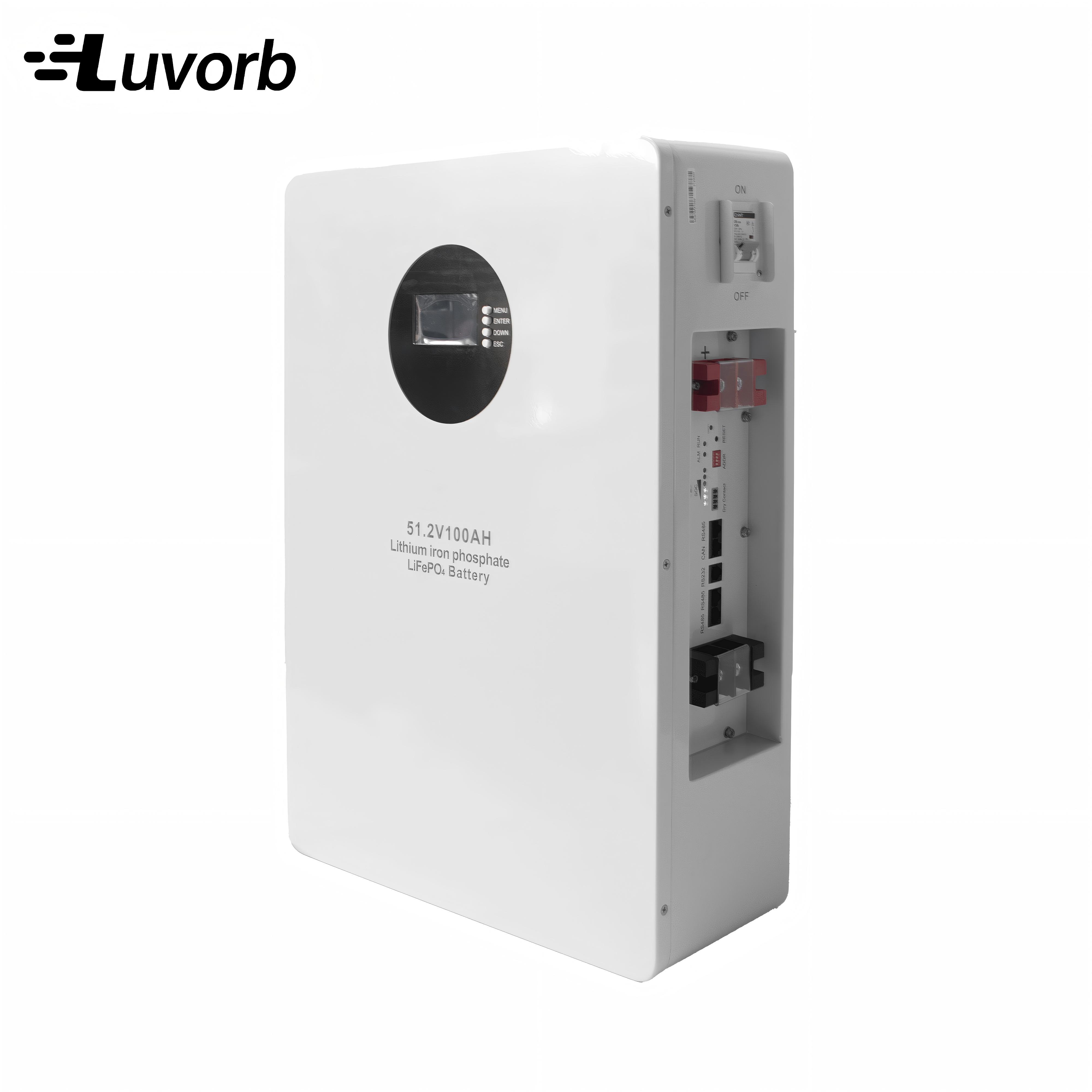 LiFePo4 Inverter Battery EMS 1 - Lithium Battery 100Ah reseña y precio