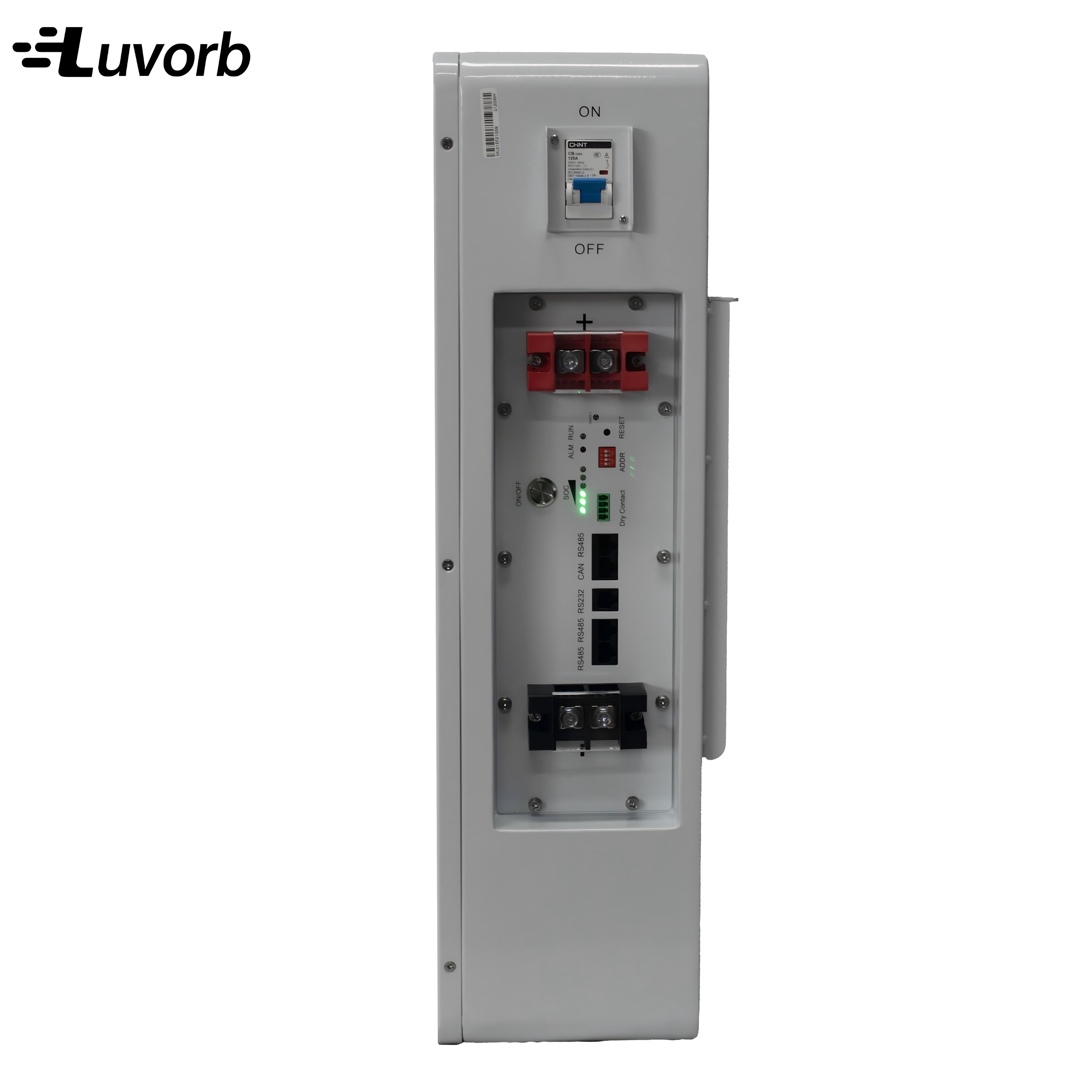 LiFePo4 Inverter Battery EMS 1 - Lithium Battery 100Ah reseña y precio