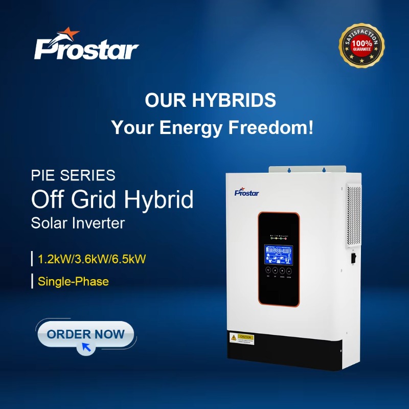 【2026】3.6kw 12V 24V 48V Pure S - Renewable Energy Grid reseña y precio