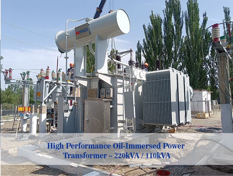 High Performance Three-Phase O - Renewable Energy Industry reseña y precio