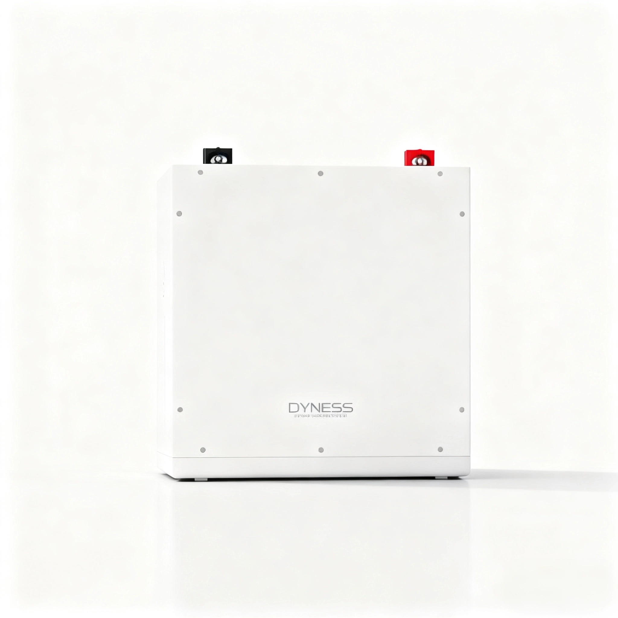 Dyness DL5.0C 1C Lithium Ion B - Lithium Battery 100Ah reseña y precio