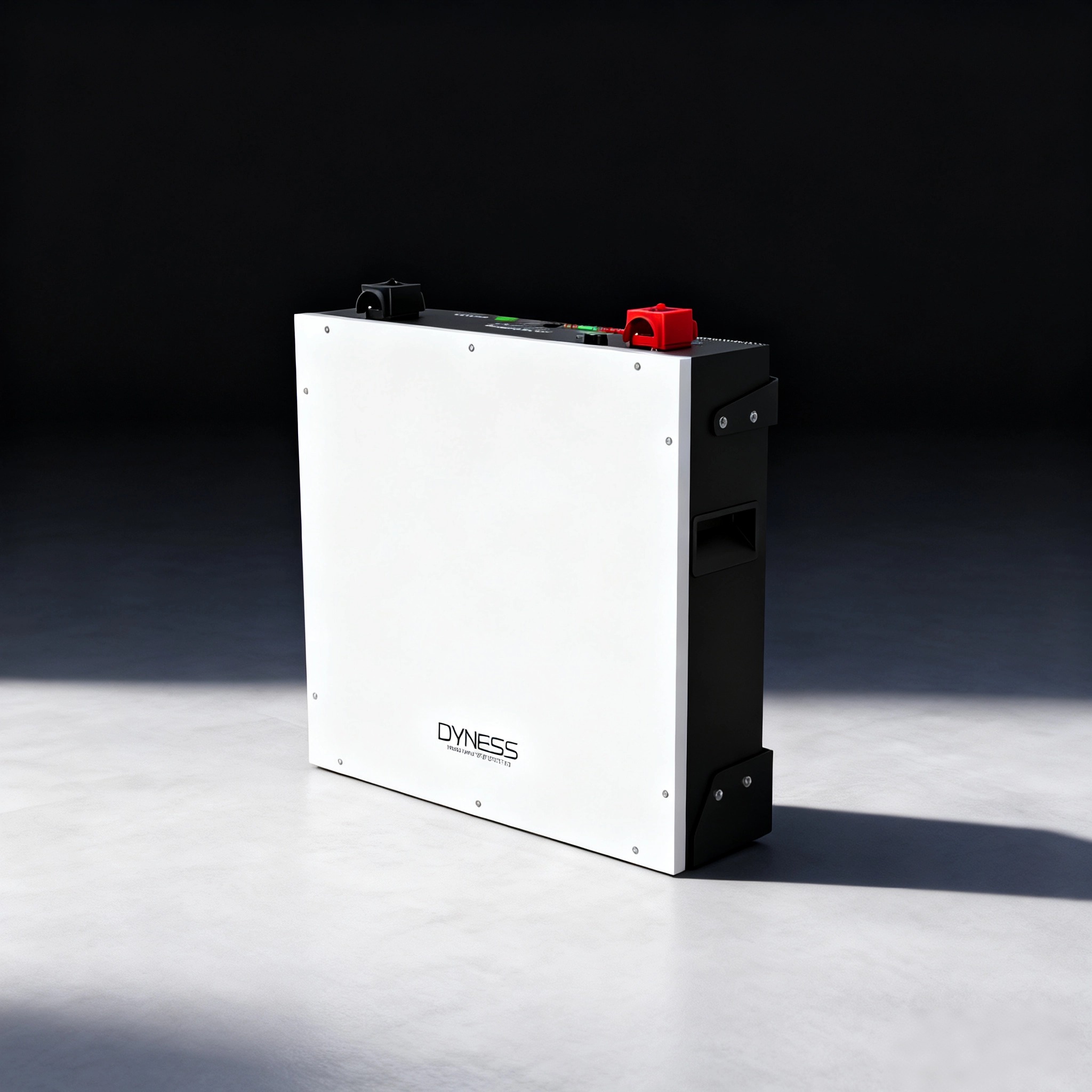 Dyness DL5.0C 1C Lithium Ion B - Lithium Battery 100Ah reseña y precio