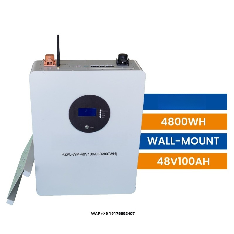 High Rate Capability Lithium S - Lithium Battery 100Ah reseña y precio