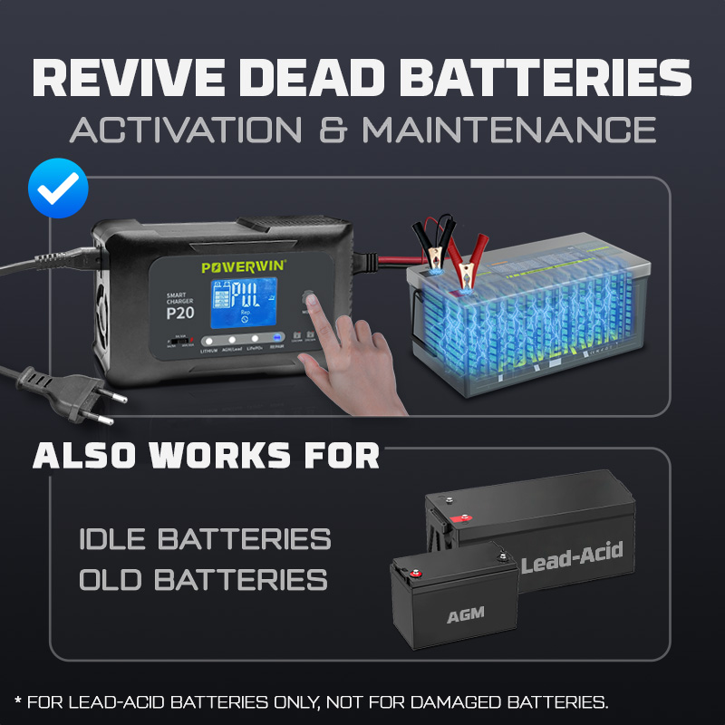 POWERWIN P20 Smart Car Battery - Agm Deep Cycle Battery reseña y precio